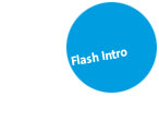 FlashIntro